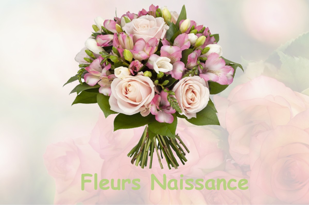 fleurs naissance LE-CATEAU-CAMBRESIS