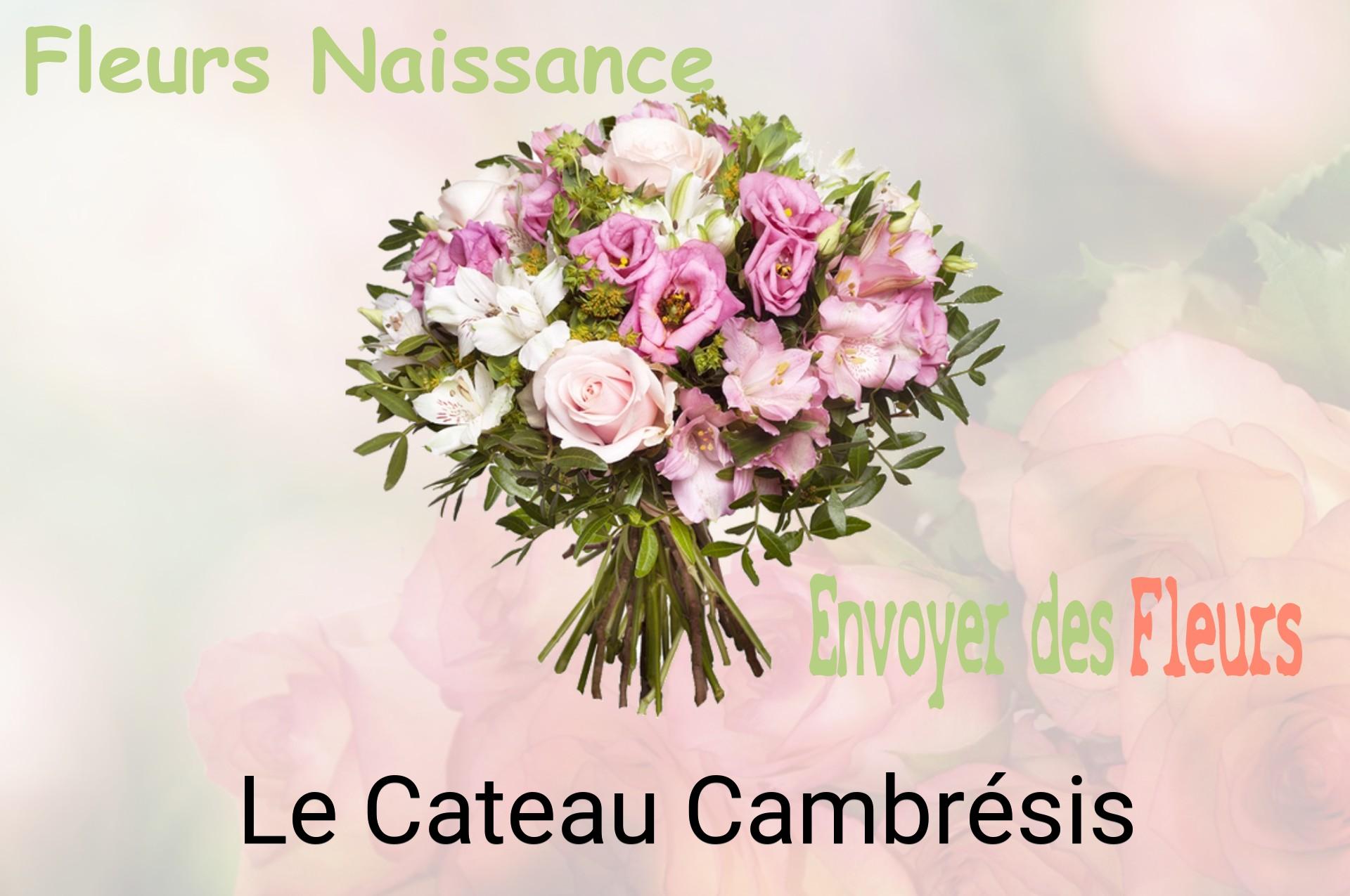 Bouquet de fleurs de naissance livré à Le Cateau-Cambrésis